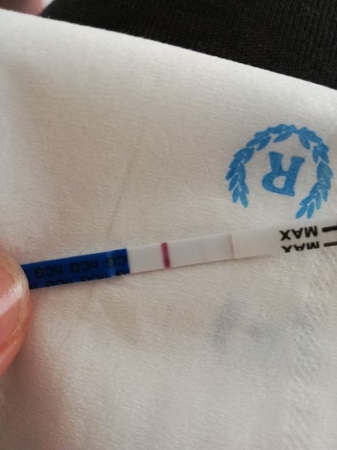 Ragazze ditemi che la vedete - 1