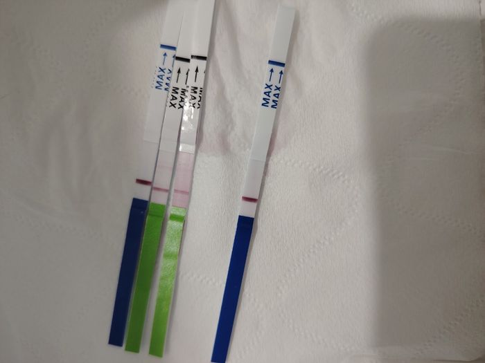 Potete darmi un parere? 2