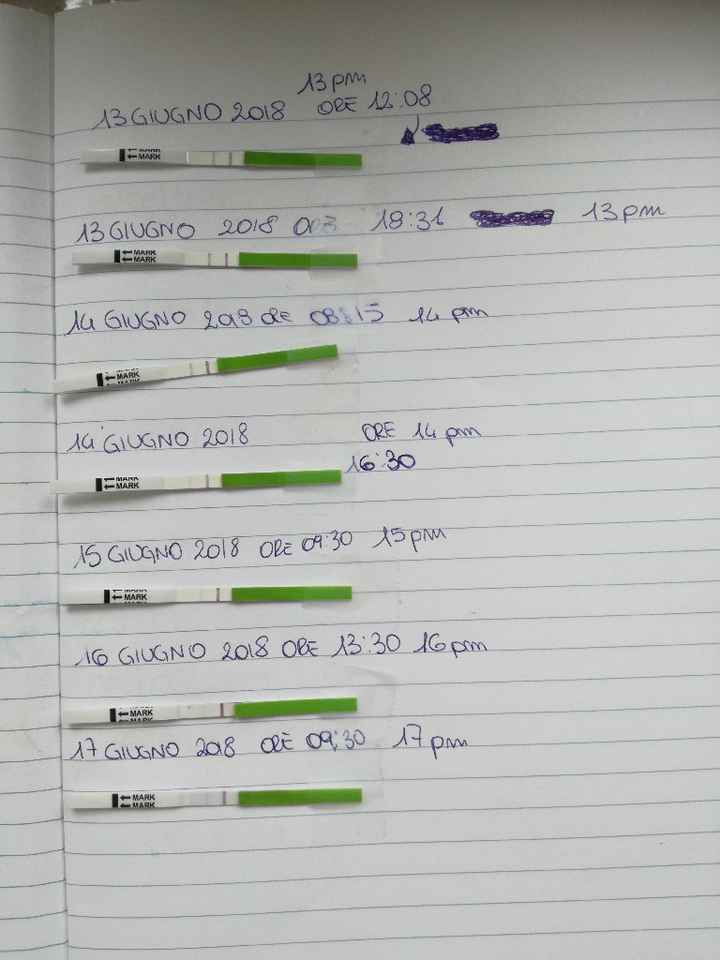 Non ci sto capendo granché - 1