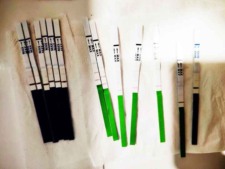 Potete darmi un parere? - 1