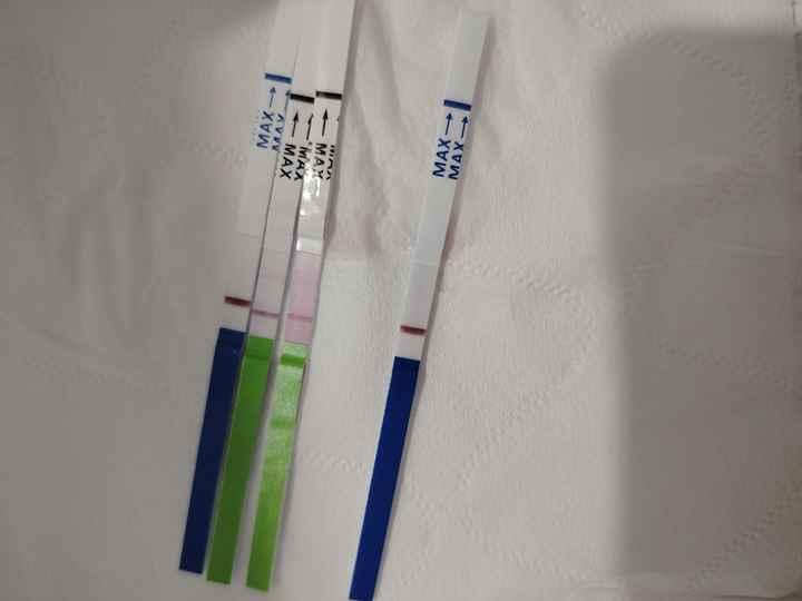 Potete darmi un parere? - 2