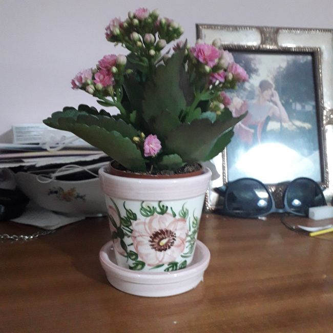 Bomboniere gastronomiche. Sì o no? 3