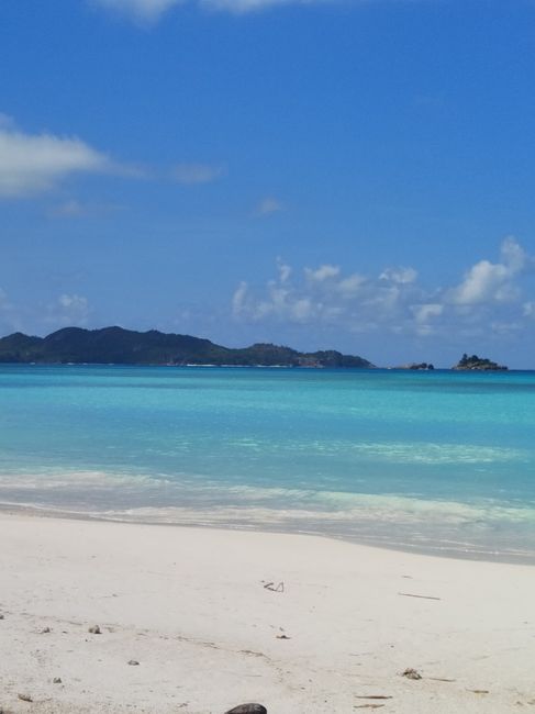 Viaggio di nozze - 1