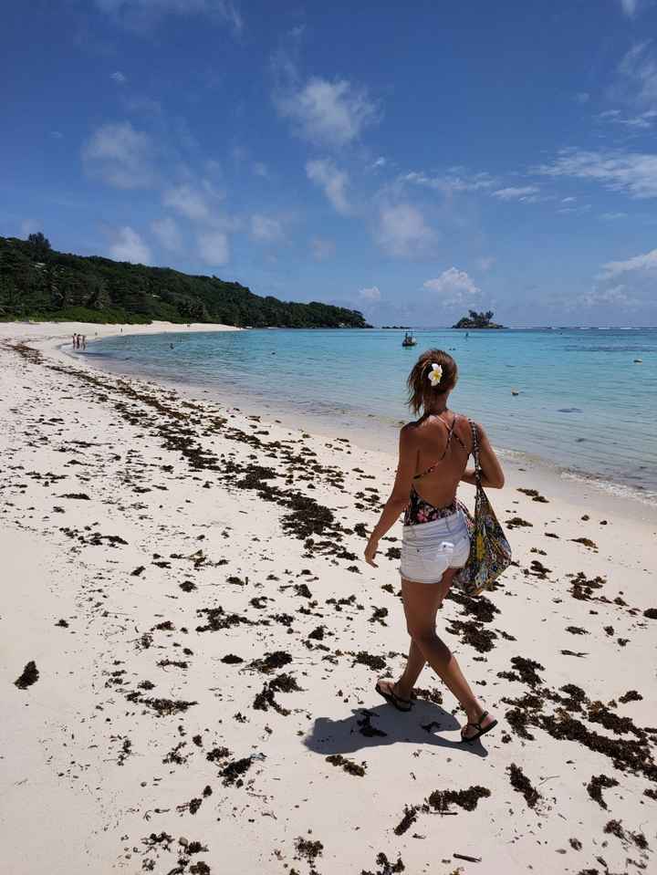 Viaggio di nozze - 8