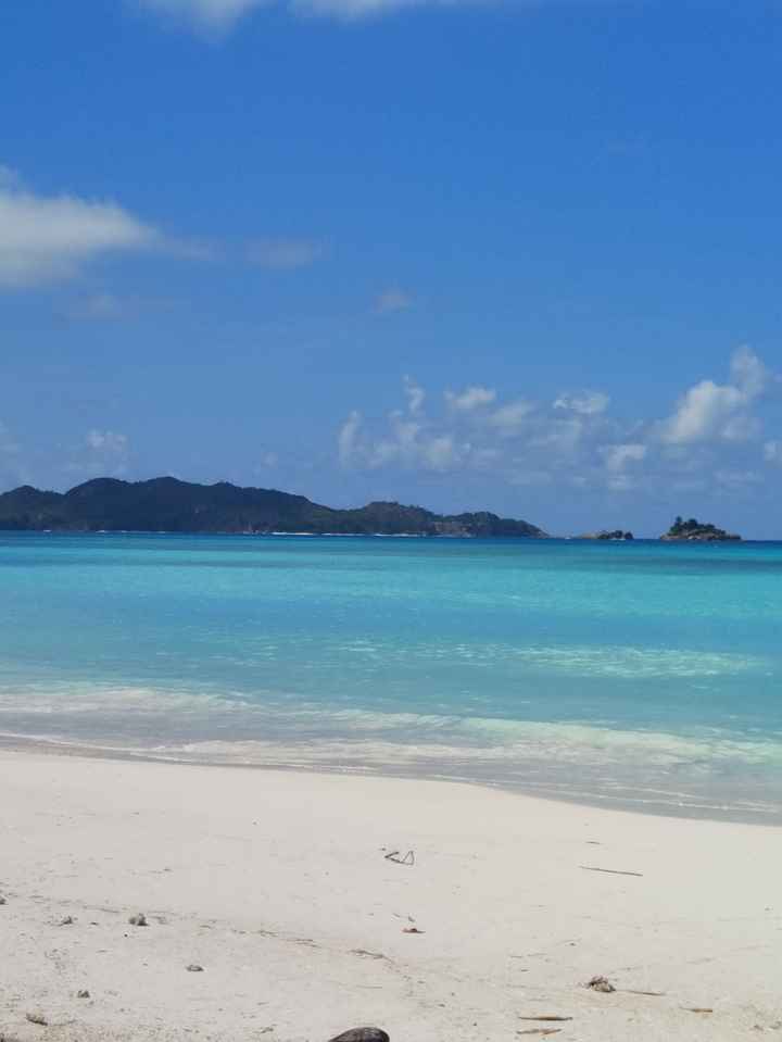 Viaggio di nozze - 1