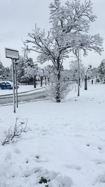 -43 e a Napoli nevica😱 - 1