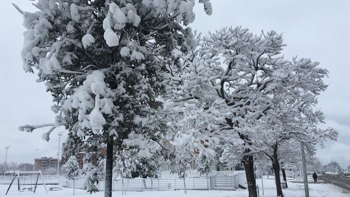 -43 e a Napoli nevica😱 - 2