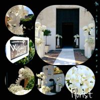 Fioraio bacoli e dintorni. - 1