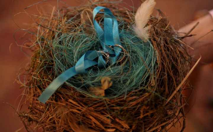 Il nostro nido-portafedi