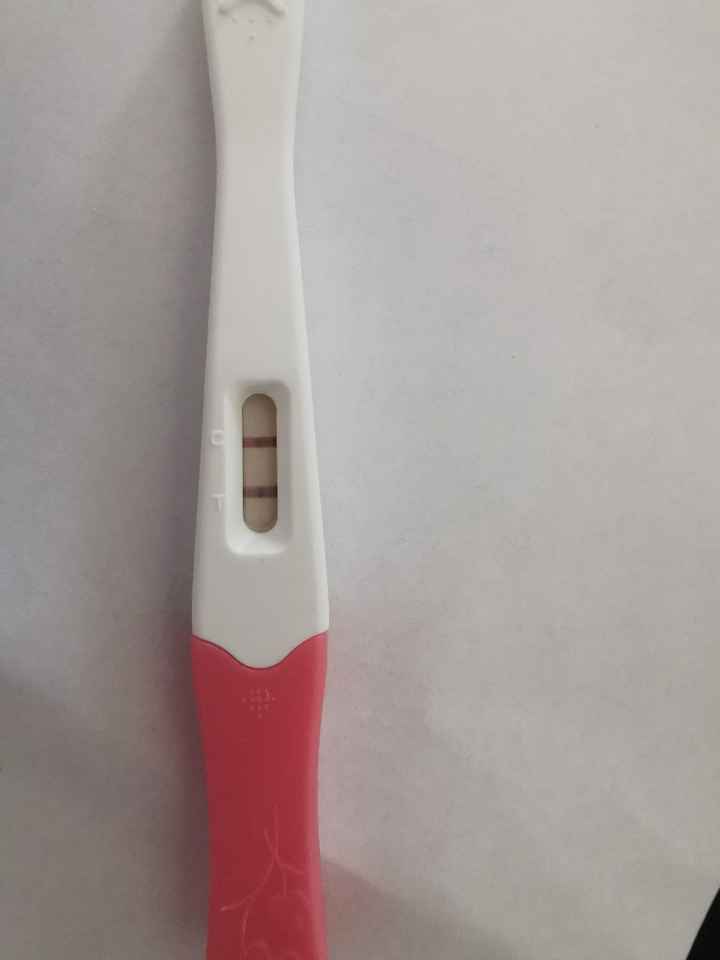 Mammine di gennaio 2021 - 1