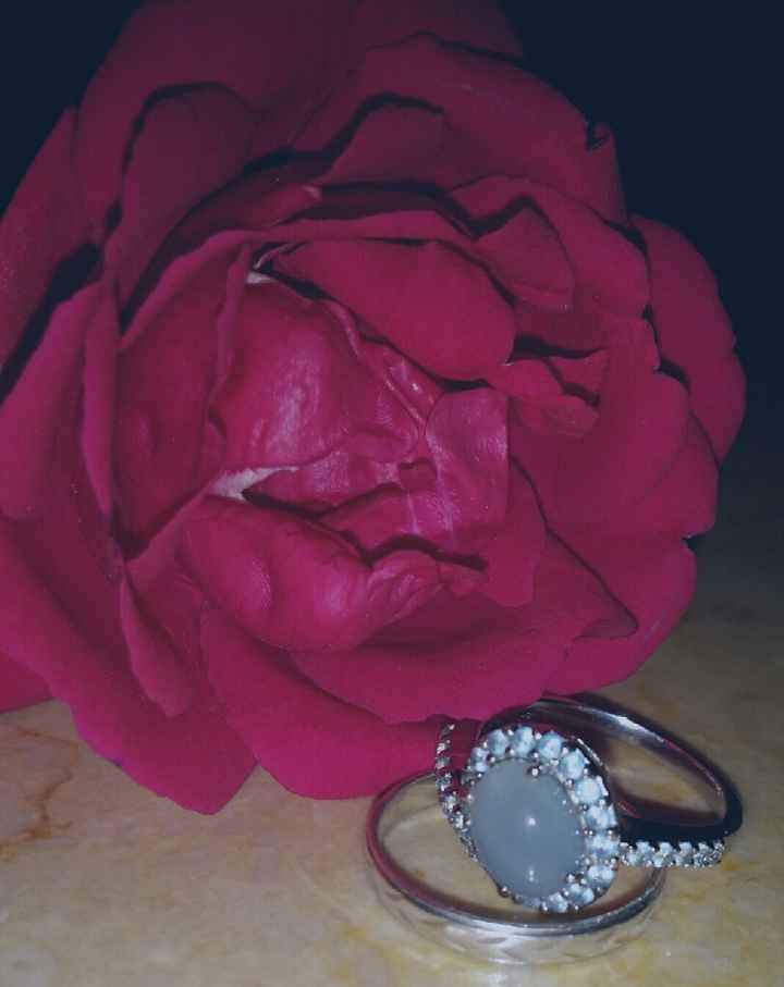 Curiosità: l'anello della proposta :-) - 1