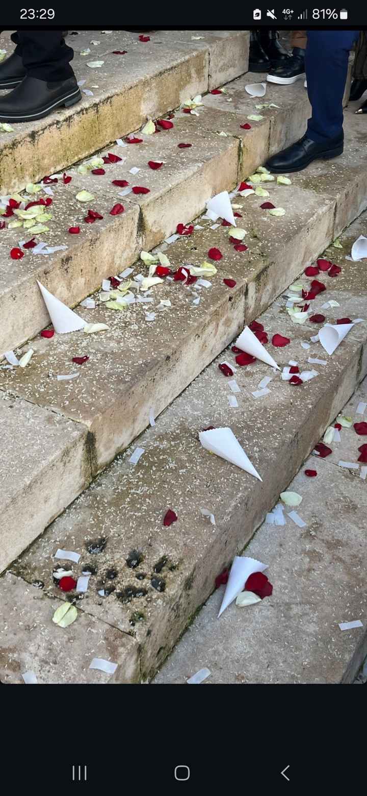 Petali veri da lancio - 1