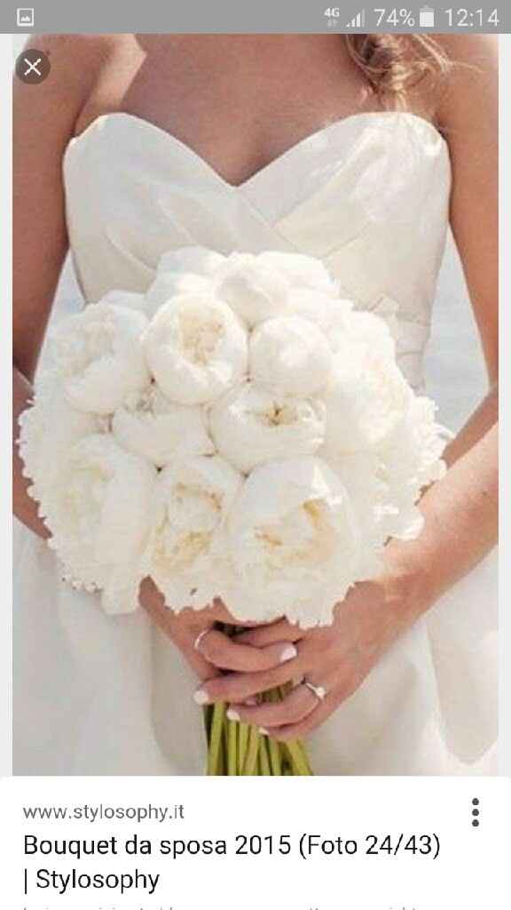 Peonie pure white - 2