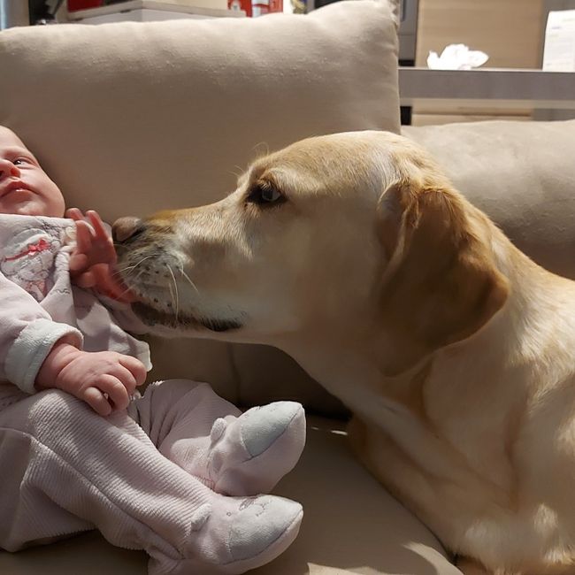 Future mamme novembre 2020 🌞🍁🌷♾ - 1