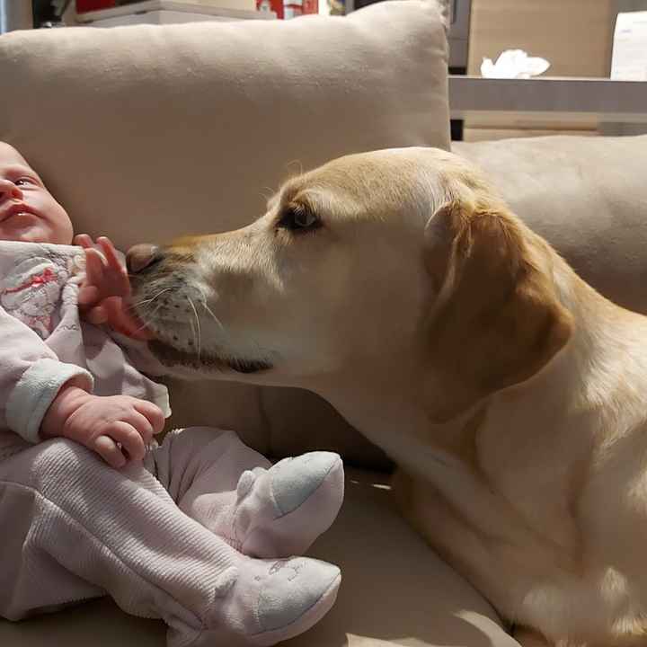 Future mamme novembre 2020 🌞🍁🌷♾ - 1