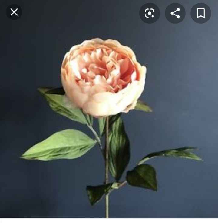 Prova acconciatura - 1