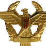 REGINA