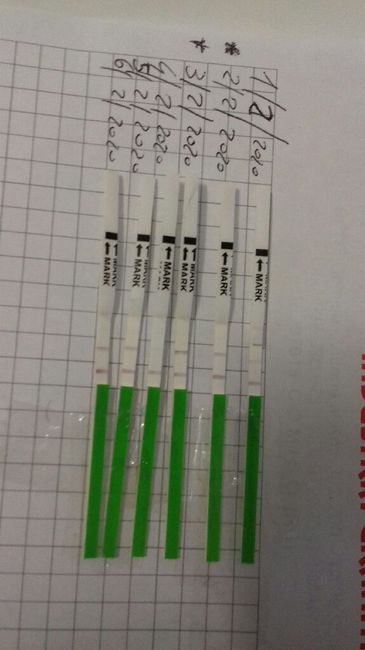 Cercando di concepire 2