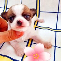 Vita da marito e moglie 😍 - 2