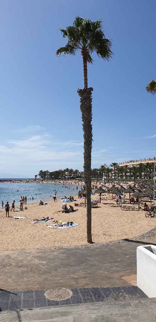 Crociera in Grecia e isole Canarie? - 2