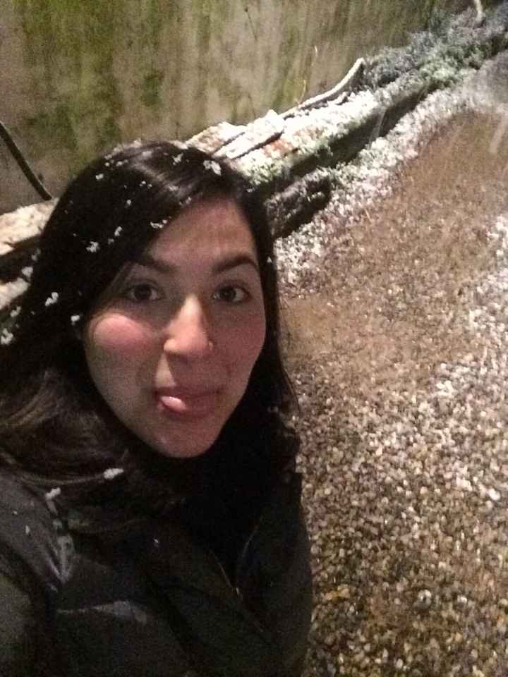 Il viaggio continua... *.* - 2