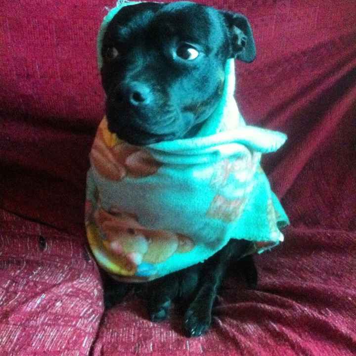 Regalo di san valentino anticipato - 1