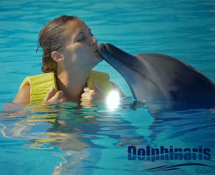 In quale resort alloggerete in messico? - 1