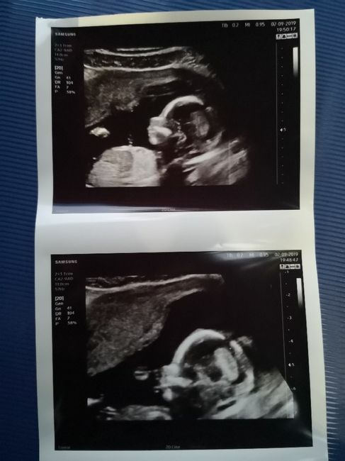 Mammine di febbraio 2020 - 1