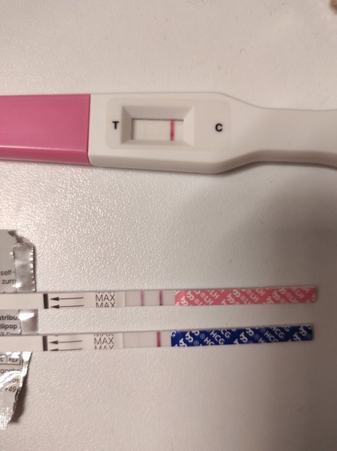 Chi non le aspetta per Dicembre 2021 🤶 🎅 🎄 3