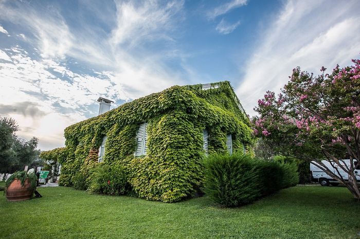 VILLA ROSETO