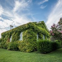 VILLA ROSETO
