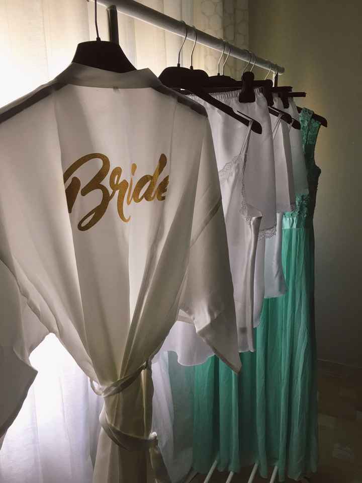 Damigelle adulte - 3