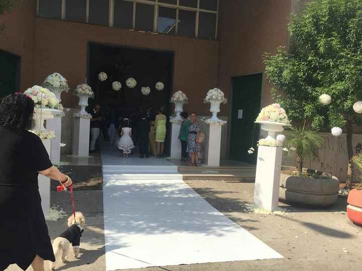 Fiori... quanto mi costate! :o - 4