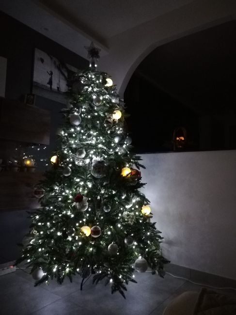 Avete mai fatto l'albero insieme? 2