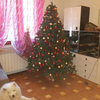 L albero di natale - 1