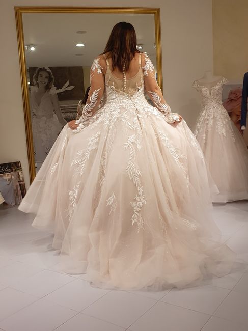 3️⃣ P8045 di Delsa: first reaction? 2