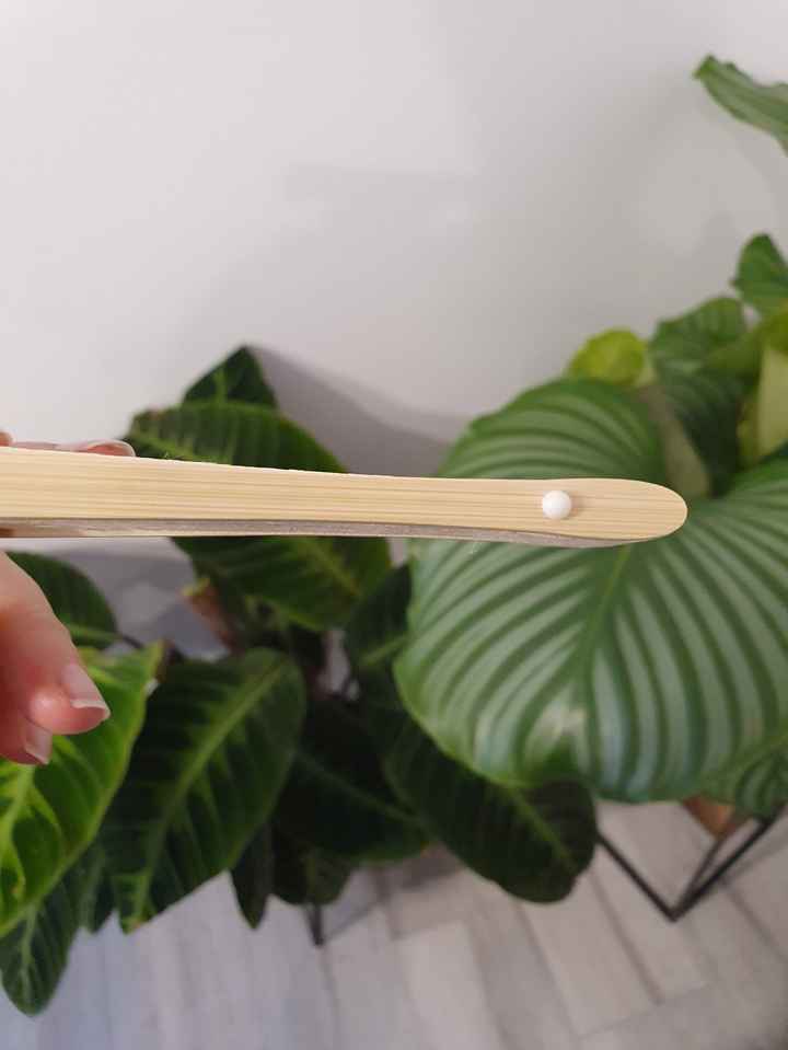 Ventagli per matrimonio estivo 🌿 - 4