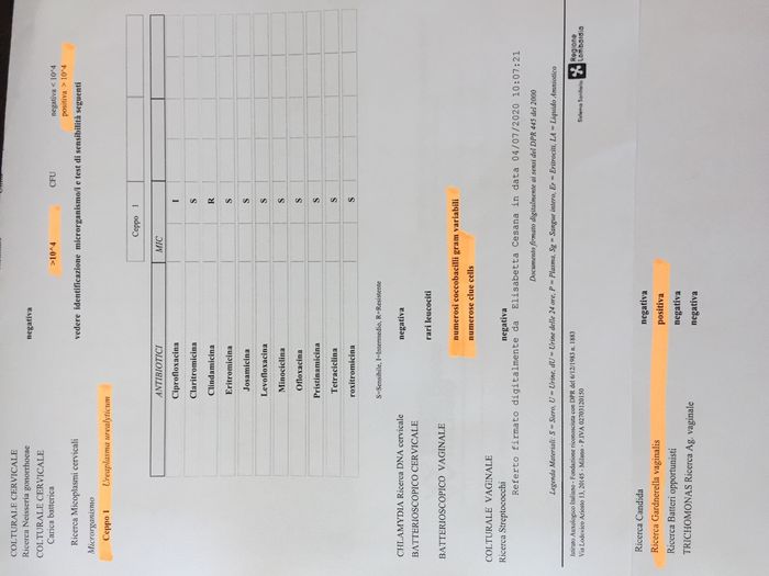 Tampone cervicovaginale e esami sangue con amh - 1
