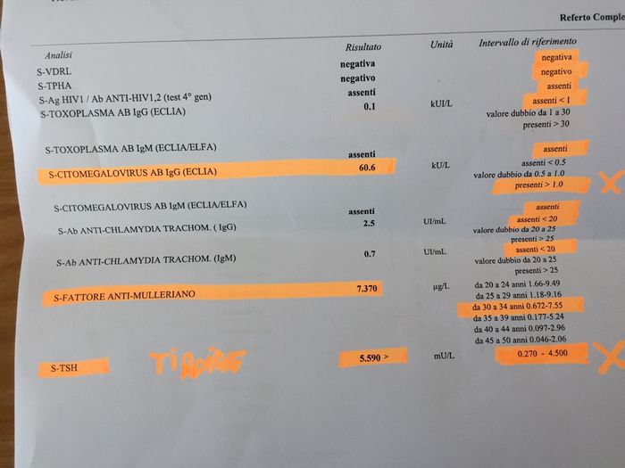 ❤🧡💛💚💙💜 pma 2020, siamo cariche? 💪🏻 - 1