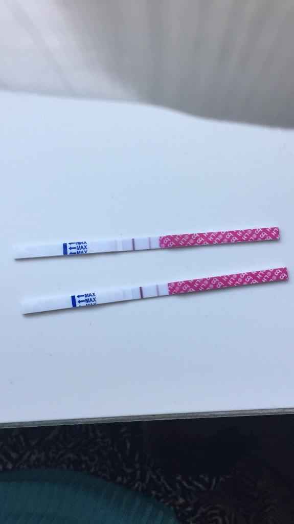 ❤🧡💛💚💙💜 pma 2020, siamo cariche? 💪🏻 - 1