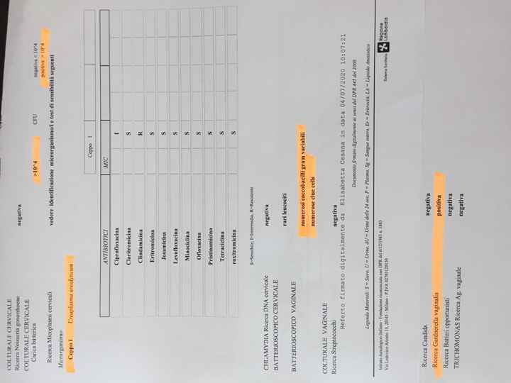 Tampone cervicovaginale e esami sangue con amh - 1
