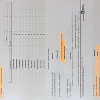 Tampone cervicovaginale e esami sangue con amh - 1