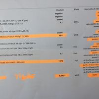 ❤🧡💛💚💙💜 pma 2020, siamo cariche? 💪🏻 - 1