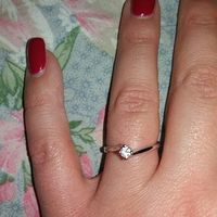 Finalmente la proposta! - 1