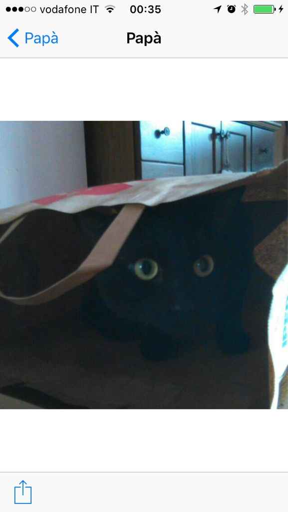 Un nuovo inquilino nella nostra casa - 2