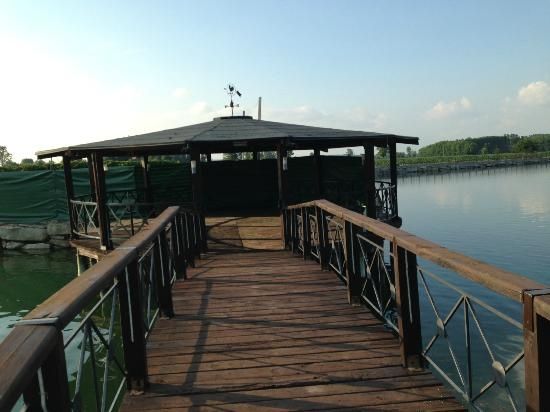 Operazione vestito andata....... - 1