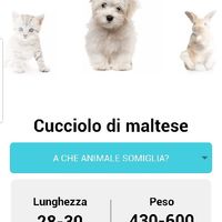 Future Mamme Giugno 2020 - 1