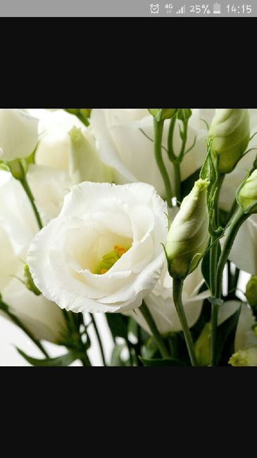 Sposine di settembre :fiori - 1