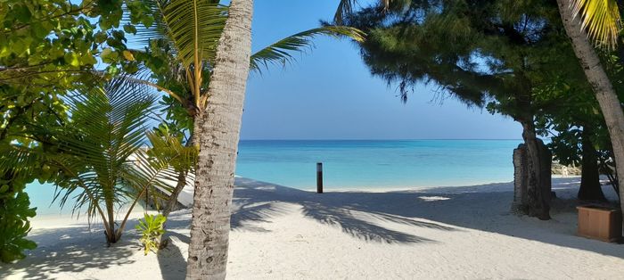 Viaggio di nozze Maldive 7