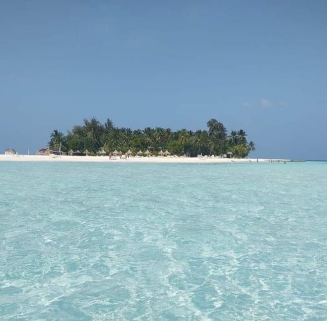 Maldive… dove? 6